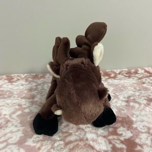 Webkinz Moose